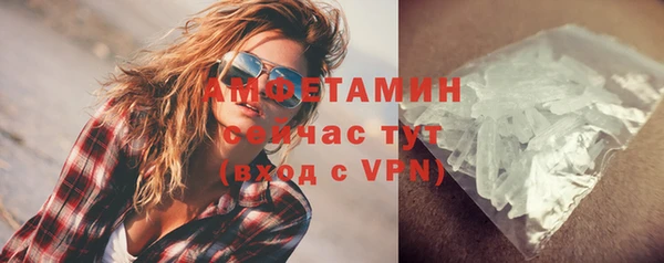 прущие грибы Балабаново