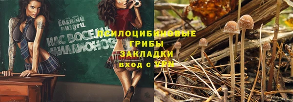 прущие грибы Балабаново