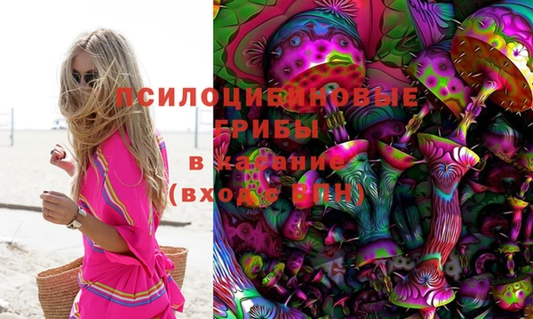 прущие грибы Балабаново