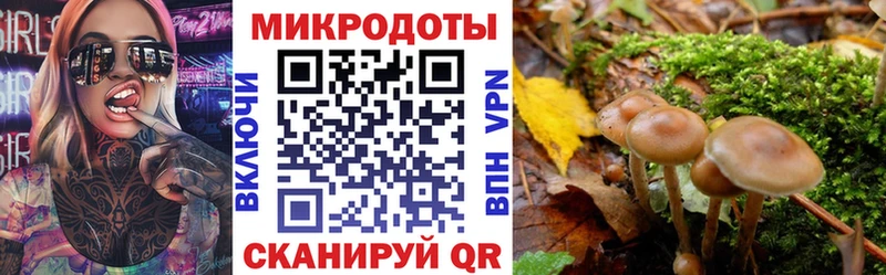 Купить закладки  Окуловка  Галлюциногенные грибы ЛСД 